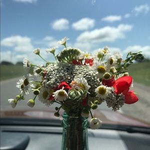 Meet your Posher, Abigail